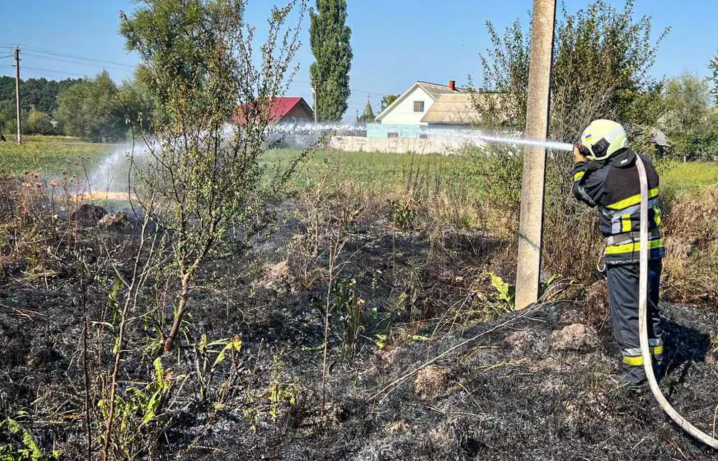 Палало по всій області: на Буковині ліквідували 7 загорянь на відкритій місцевості