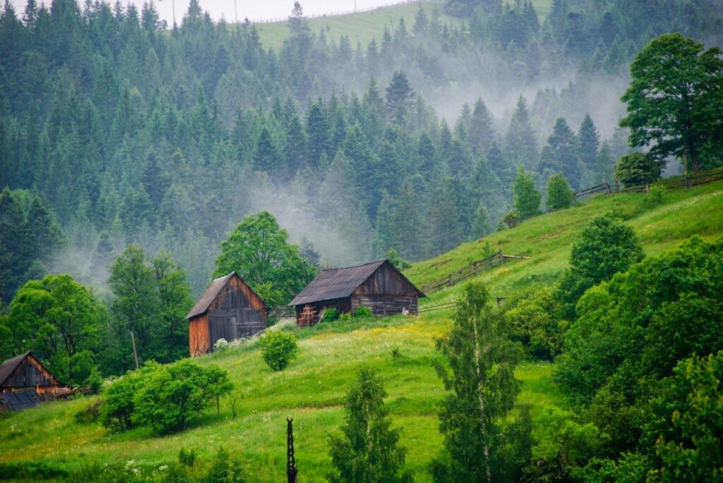 Карпати