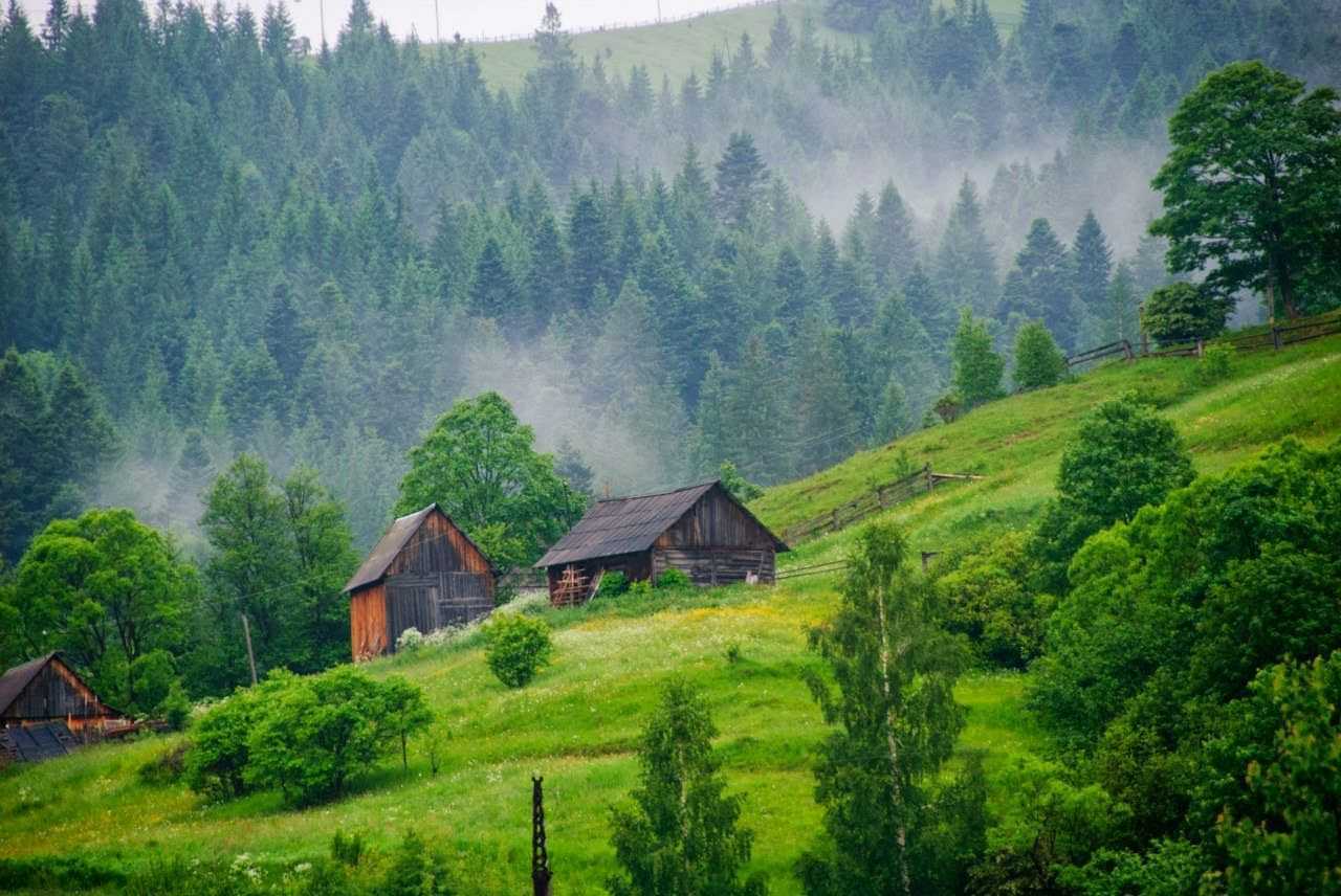Карпати