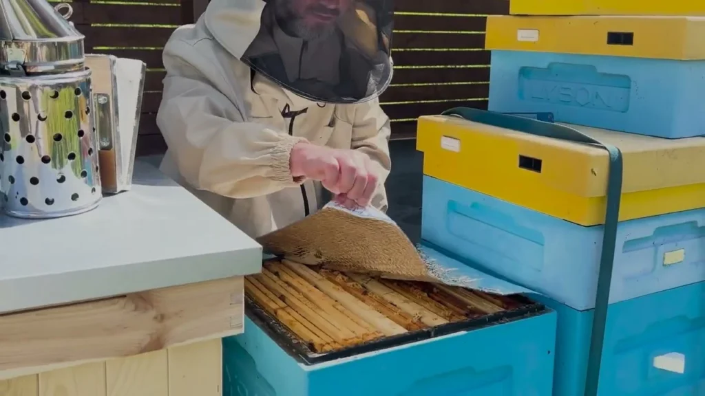 пасіка рамки для вуликів