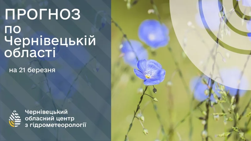 86bf7b3895cf5f9ec1be3ab6af4b0c35