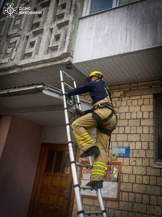 У селі Дяківці на Буковині згоріло 2,5 гектари сухої трави