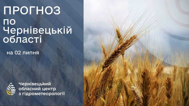 Погода на Буковині 2 липня