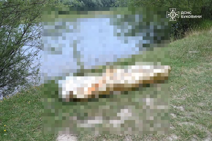 На Буковині знайшли тіло хлопчика. Трагедія, що сколихнула регіон.