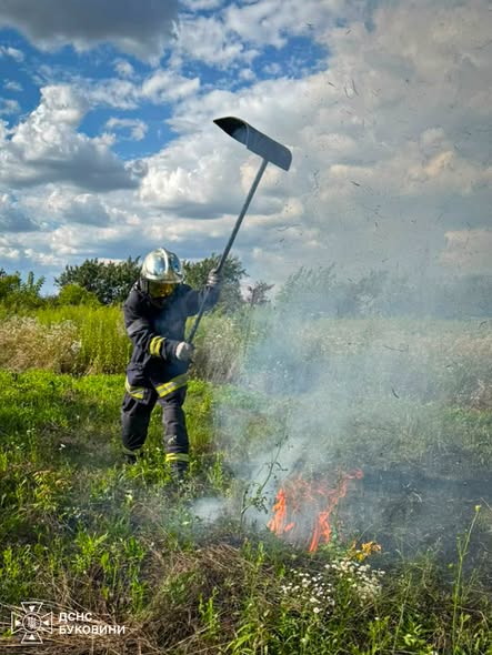 Вогонь на Буковині: палала трава й сміттєзвалище в Чернівецькій області