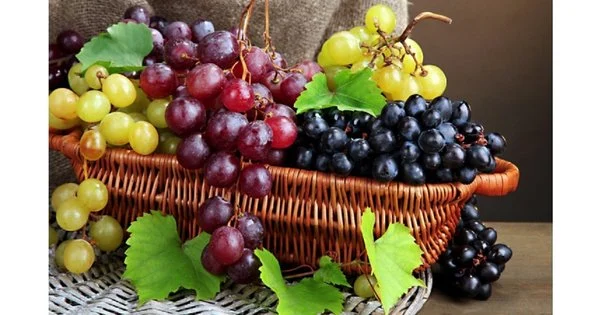 Рожевий, зелений, чорний: який виноград корисніший? Факти про користь для серця, мозку, судин.