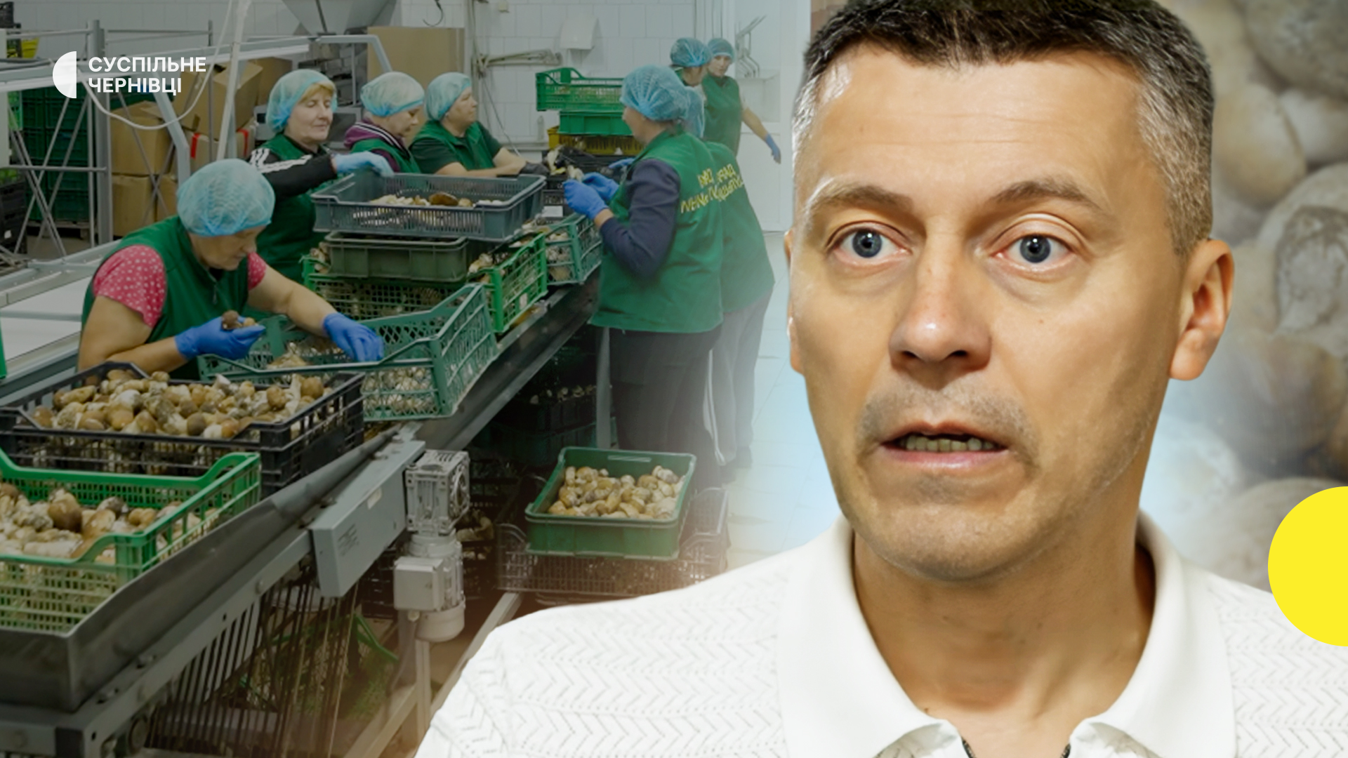 З Карпат – до світу: як буковинські гриби та ягоди підкорюють США, Ізраїль та Корею.